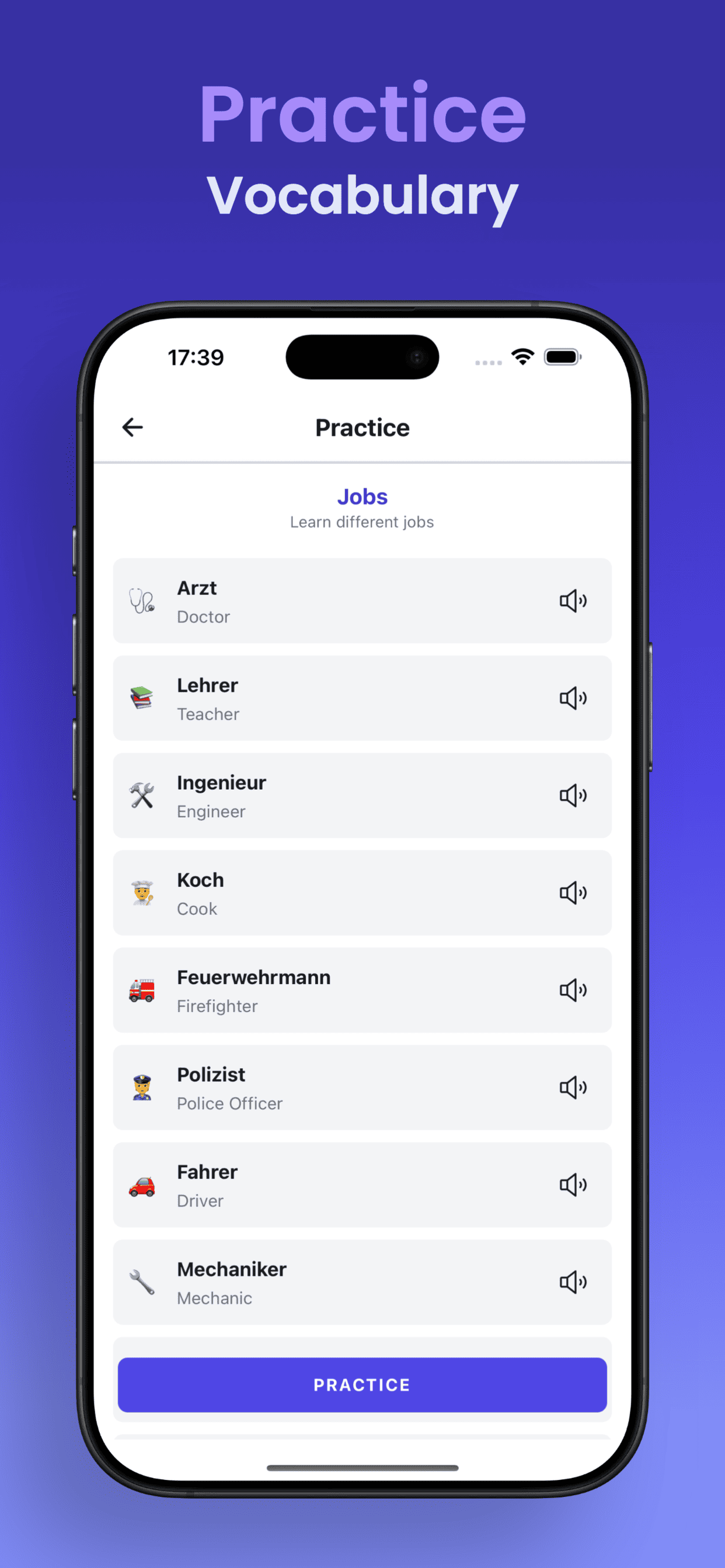 Vocabulary practice screen