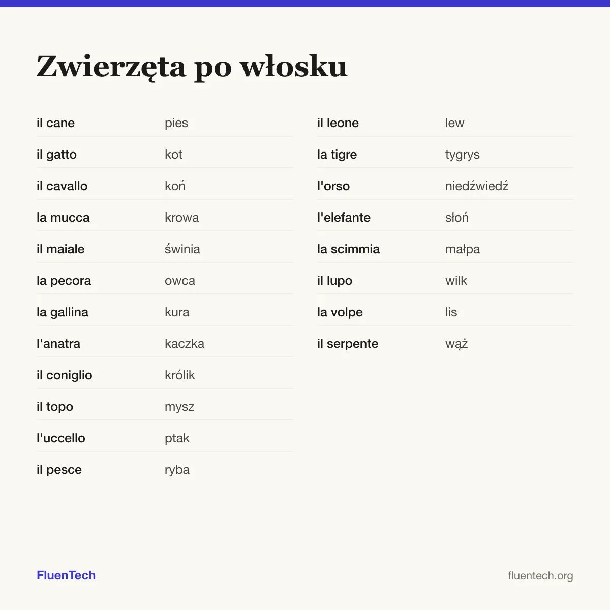 Zwierzęta po włosku: il cane (pies), il leone (lew)